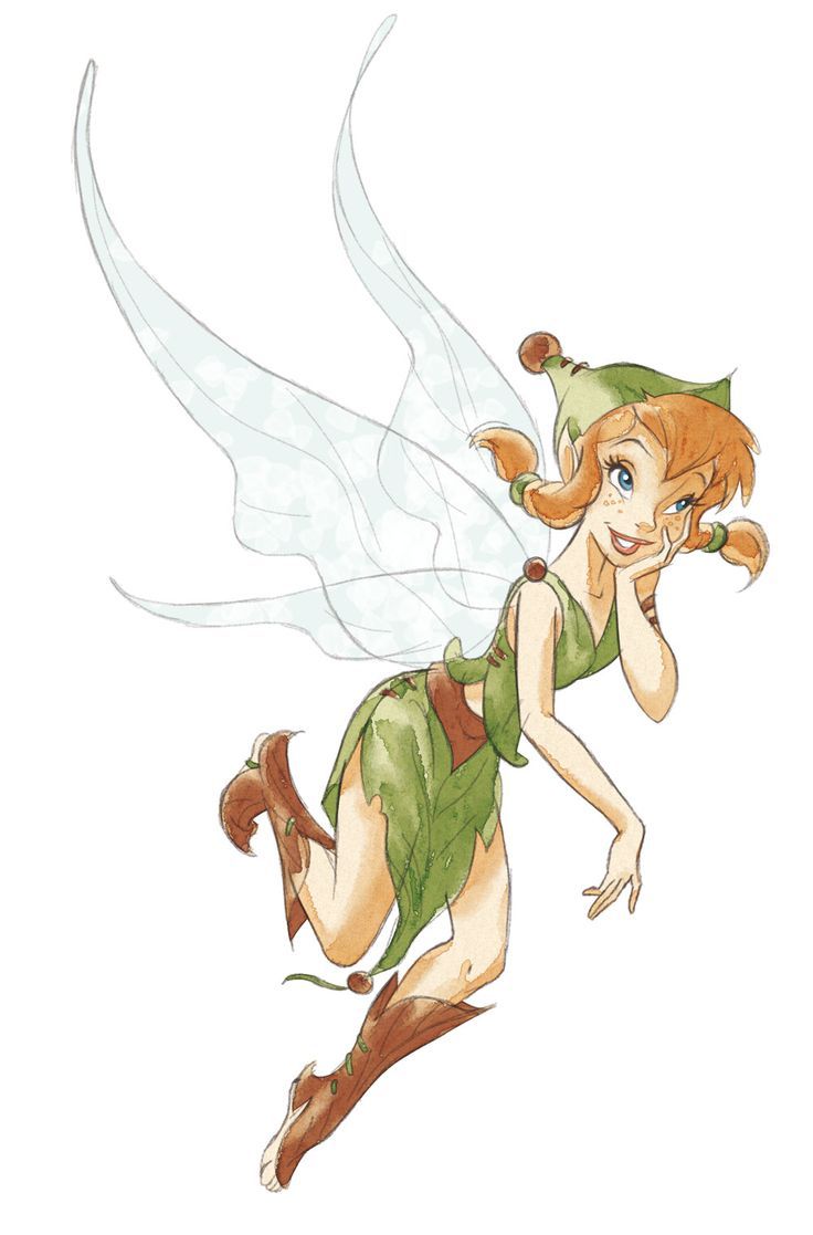 Pixie Hollow Peter Pan